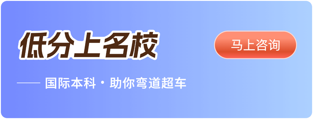 国际本科